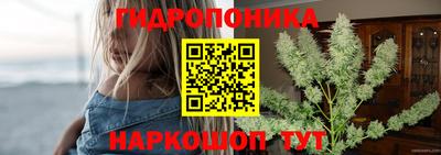 ECSTASY Дубна