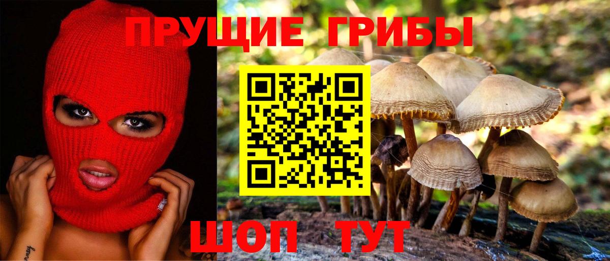 купить закладку  Псилоцибиновые грибы мухоморы  Вход с VPN  Нижнекамск 